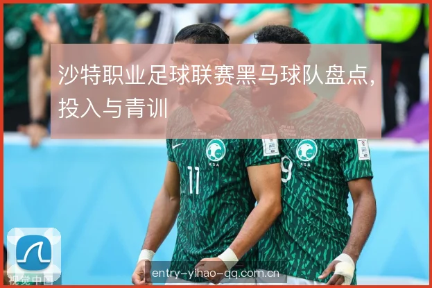 沙特职业足球联赛黑马球队盘点,投入与青训 沙特职业足球联赛黑马球队盘点,投入与青训